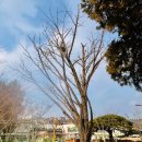 두동(병설)유치원 이미지