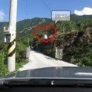 덕우민박 이미지