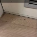 강*님 | 고양시 강**님 숨고 후기