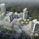 더포레C 이미지