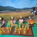 푸른아이세상어린이집 | 포항 영아 어린이집 넓은 공간, 원장님께서 하나부터 열까지 손수 정성스레 준비하는곳 북구 득량동...