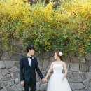 불암산 순환산책로 이미지