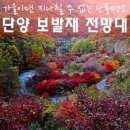 11뤌19일 리마 출사 晩秋 마법의 미로 보발재 & 고운골 은빛 물결,사인암,구인사,소원을 말해봐 이미지