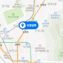 부산멍게 이미지