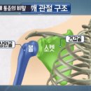 큰마디큰병원 이미지