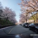 명상주차장(대금산 아래) 네이버블로그