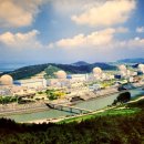 영광풍천장어 이미지