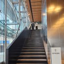 주연동물병원 | 라이프 오브 파이 연극후기