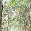 동산1리 이미지