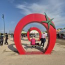 황산농협 | 부여 세도 방울토마토 유채꽃 축제 후기 봄나들이 가볼 만한 곳 추천