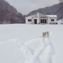 작약꽃펜션 이미지