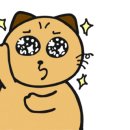 우드 너 이미지