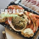 일출로 | 주문진 일출횟집 추천 대게회 푸짐한 세트구성 강릉 회포장 맛집 후기