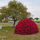 나주영산포철도공원 이미지