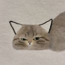 여성 작가와 한국 문학 이미지