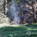 노암연합의원 이미지