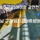 섬진강어류생태관 | [광주근교 아이랑 갈만한 곳] 전남 구례 섬진강어류생태관 후기