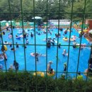 수덕사 야영장 이미지