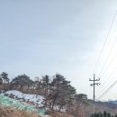 스테이고재325 이미지