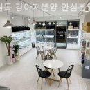 드림독 강아지분양 안심분양센터 김포점 이미지