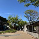 소닉카부분정비 | 일본여행 준비물 체크리스트 프리볼트 헤어드라이기 다이슨 신제품 슈퍼소닉 트래블 출시