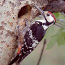 농업회사법인(주)동일농장 이월지점 | [공지] 농업법인의 농지소유와 처분, 장점과 주의해야 할 것들