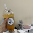 멍도레 이미지