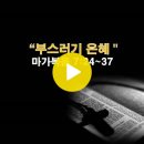 마가복음 7:24~37 / 부스러기 은혜 / 2024년 2월 29일(목) 이미지