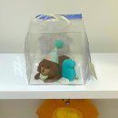 멍멍상회 이미지