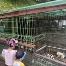 (주) 피싱파크 진산각 | [내돈내산] 김포 아이랑 가기좋은 장소추천. 3살 6살아이들 신나게 놀고온 피싱파크 진산각 찐 후기