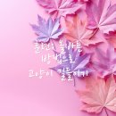 안양동물병원 이미지
