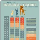 개의온도 이미지