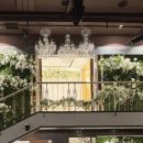 9 | 2027 신상 베뉴 마렌지9 웨딩홀 후기 (견적 댓글 공유 O)