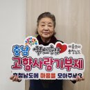 강부자