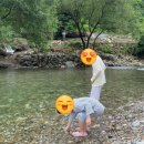 무릉도원면-5 이미지