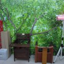 내몸에쑥뜸방 이미지