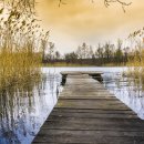 클래식 산책 이미지