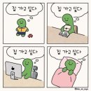 2월 마지막주 일상