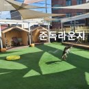 준독라운지 이미지