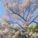밀양향교 이미지