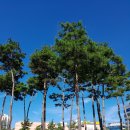 새암공원 이미지