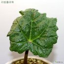 대황농장 이미지