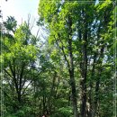 내곡동487 이미지