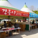 청정농산산야초