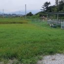 차오름농장 | 차오름 달팽이농장의 달팽이즙 후기와 풀정리 하기.