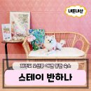 갬성드 애월 | 제주 펜션 애견동반 숙소 오션뷰 스테이반하나 2박 후기