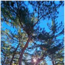 등명해변 이미지