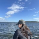 (유)진도관광여행사 | [호주/시드니] 포트스테판 투어 후기 – 돌고래·샌드보딩·4WD까지! (ft. 마지막 여행기)