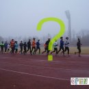 오픈케어 이미지