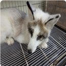 덕진체련공원 테니스장 이미지